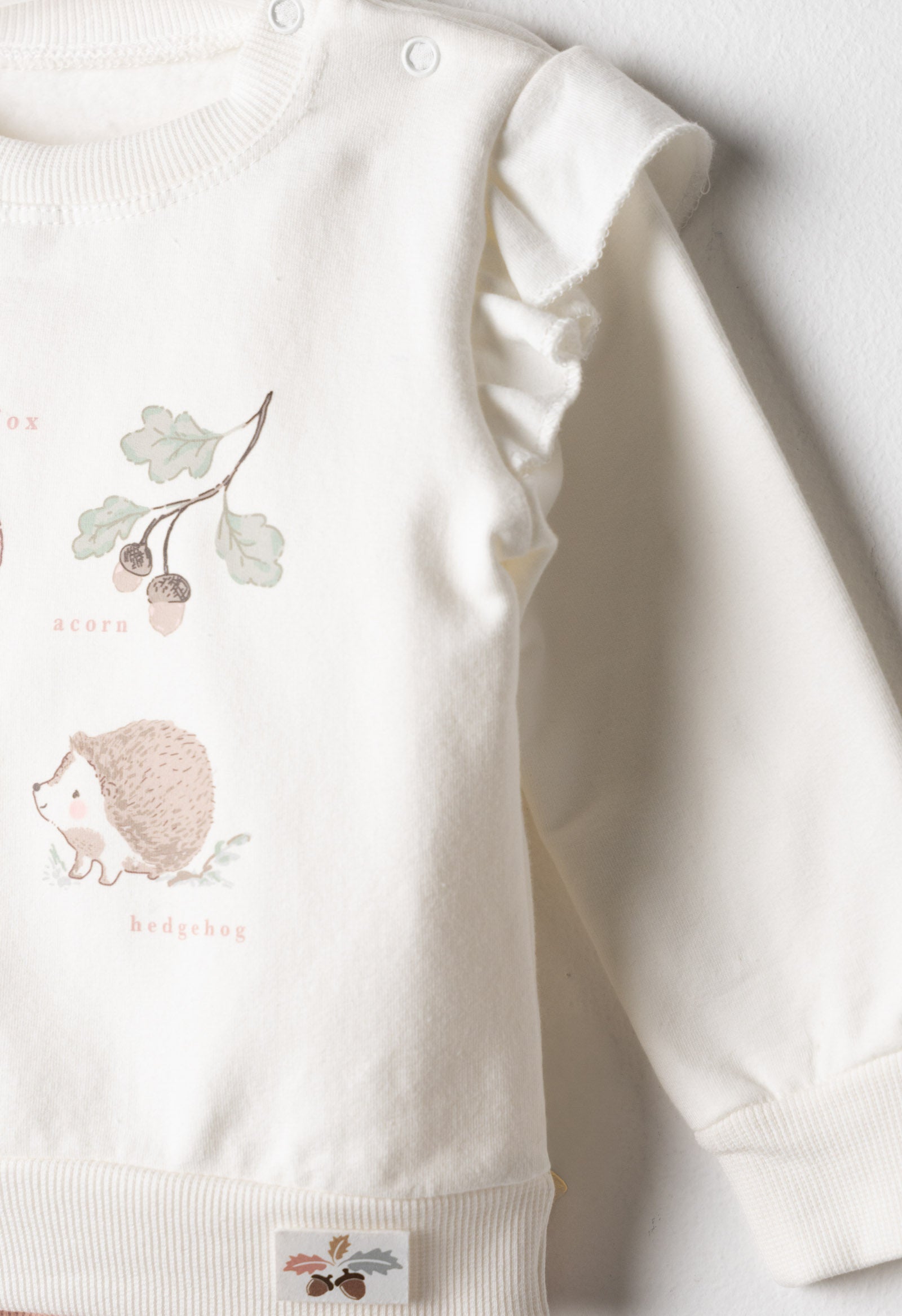 Completo Bosco